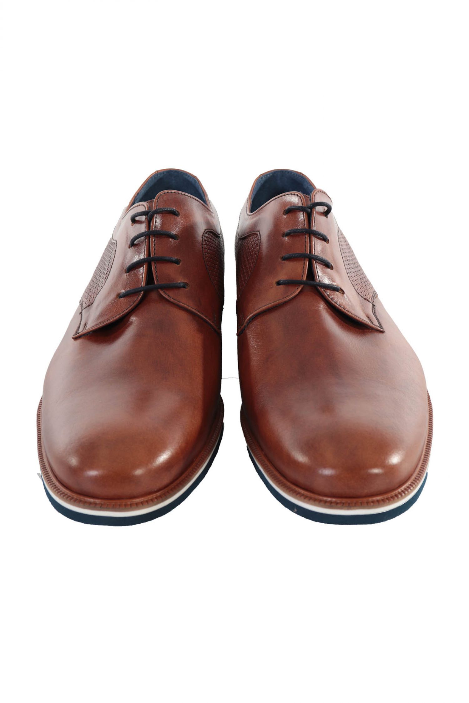 TOM FRANK ΠΑΠΟΥΤΣΙΑ ΔΕΤΟ ΤΑΜΠΑ φωτογραφία