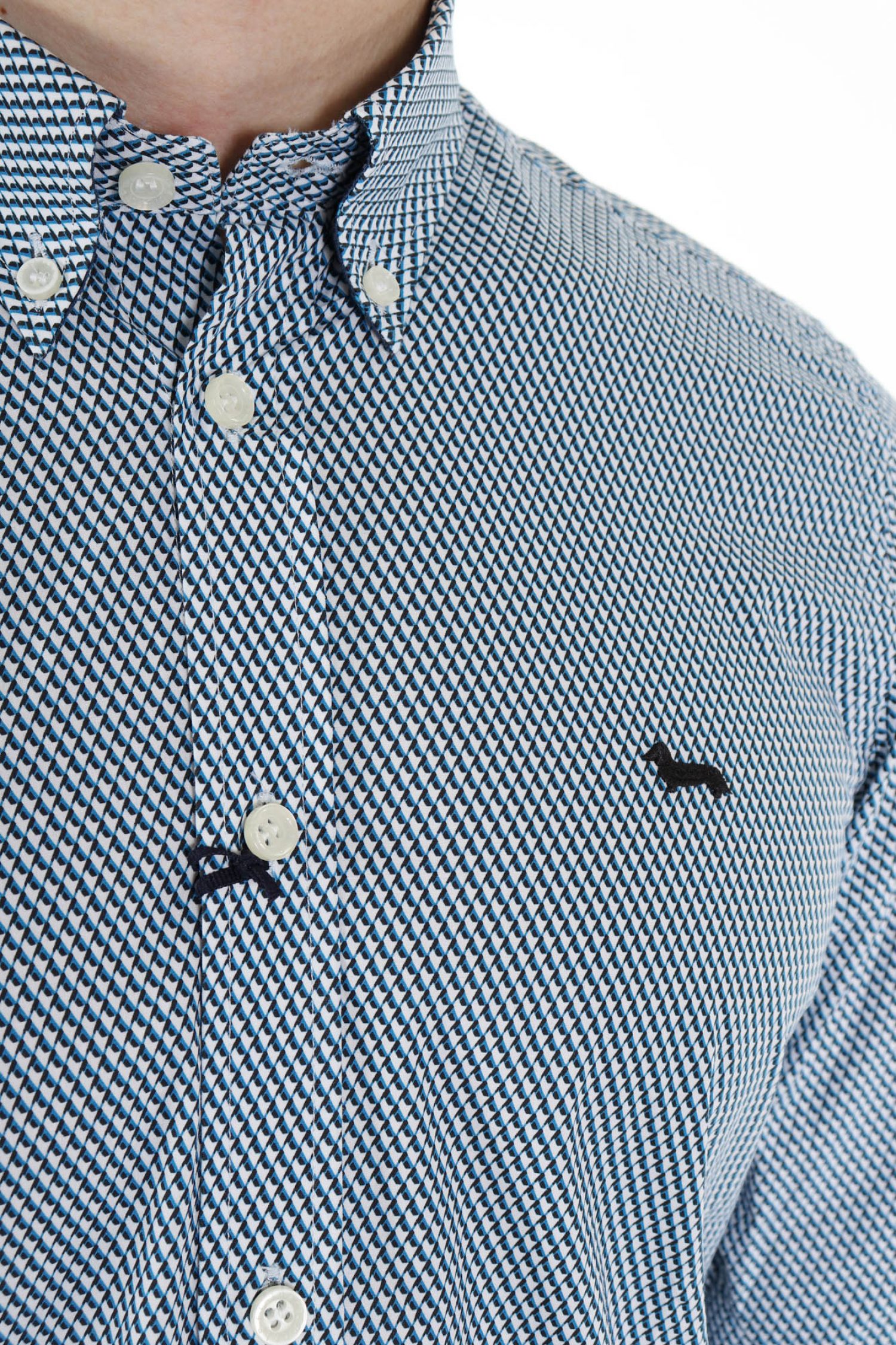 HARMONT & BLAINE ΠΟΥΚΑΜΙΣΟ BUTTON DOWN ΜΙΚΡΟΣΧΕΔΙΟ REGULAR FIT ΜΠΛΕ-ΛΕΥΚΟ φωτογραφία