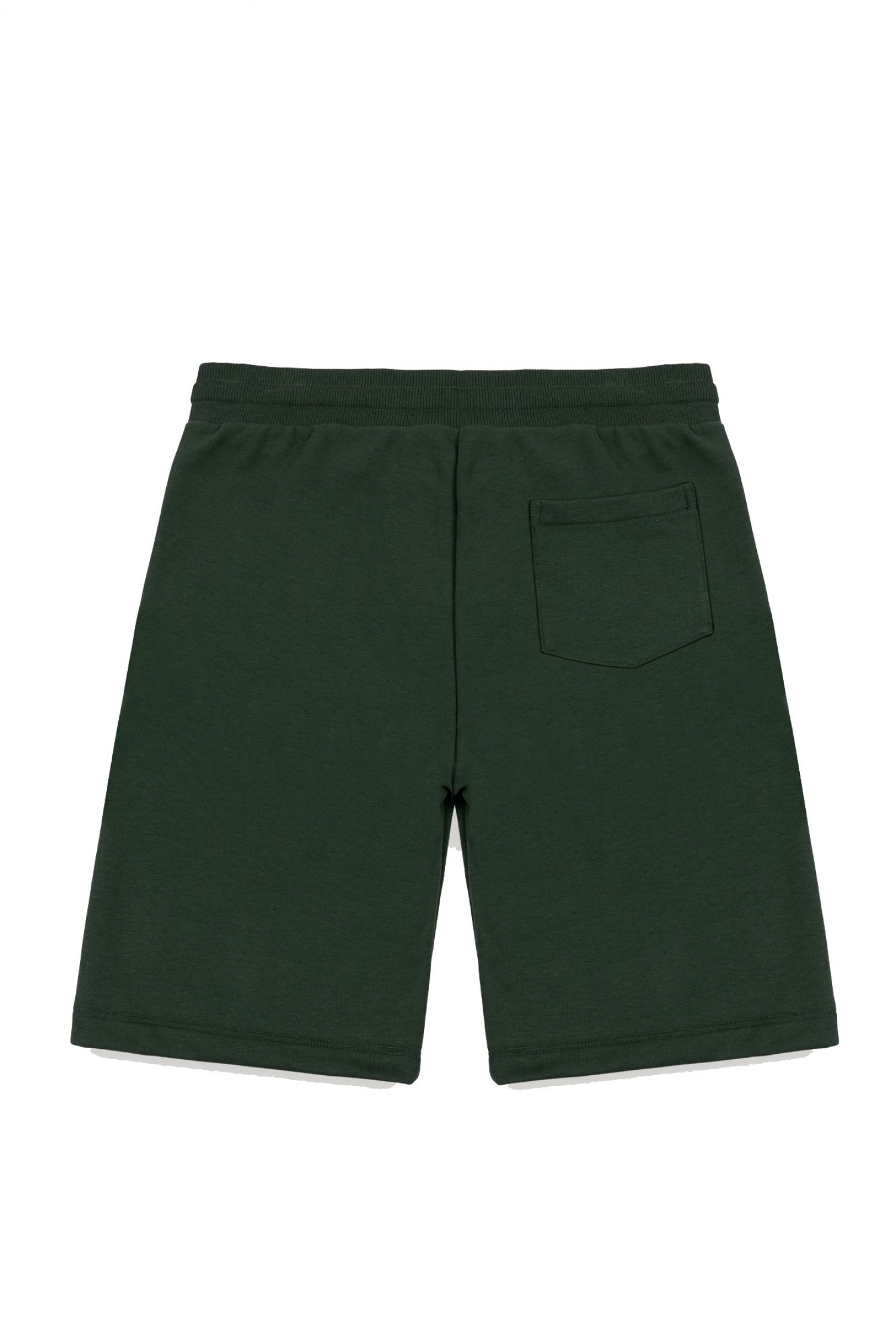 Men's Shorts Colmar Green