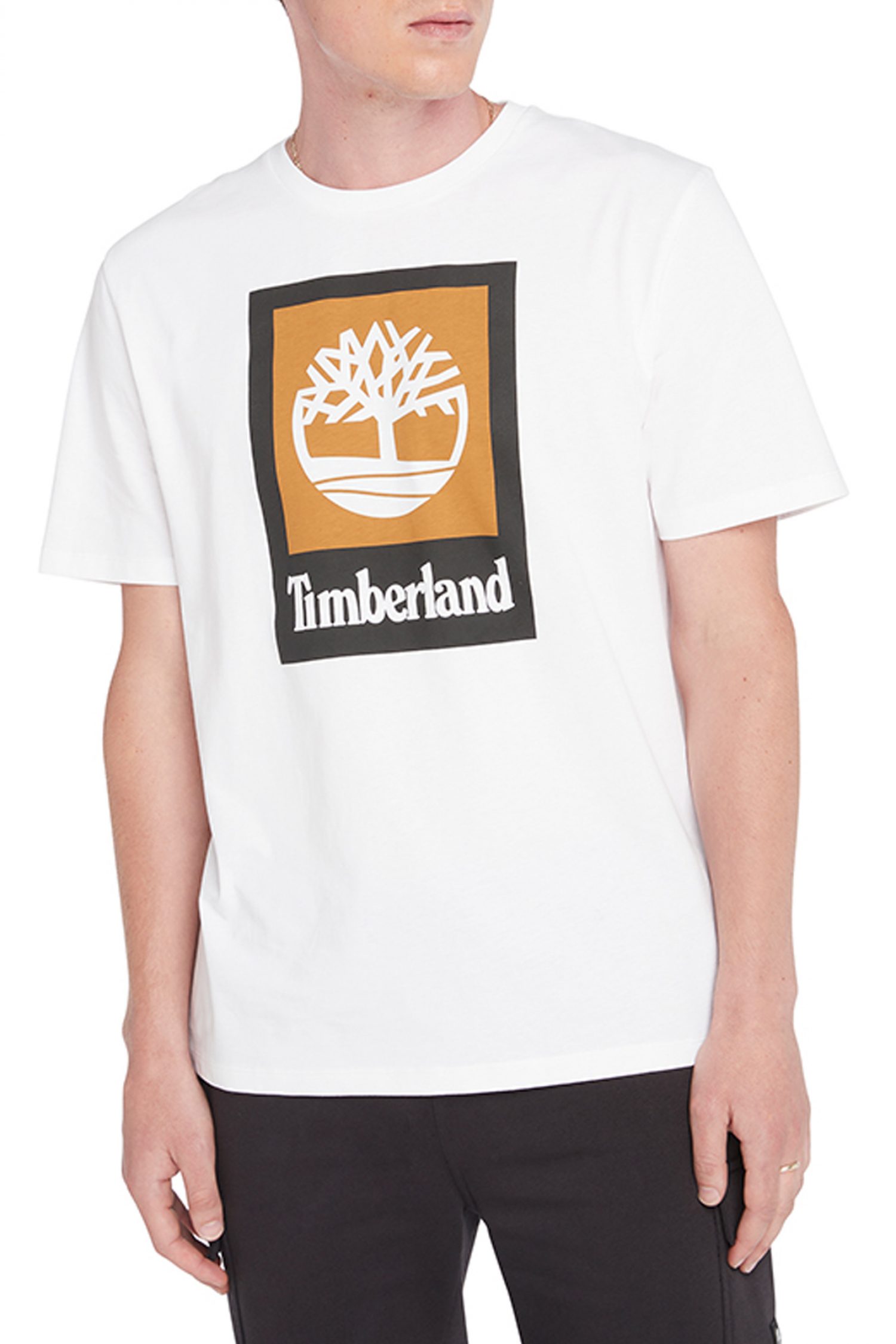TIMBERLAND T-SHIRT COLORED AUTHENTIC FIT ΛΕΥΚΟ φωτογραφία