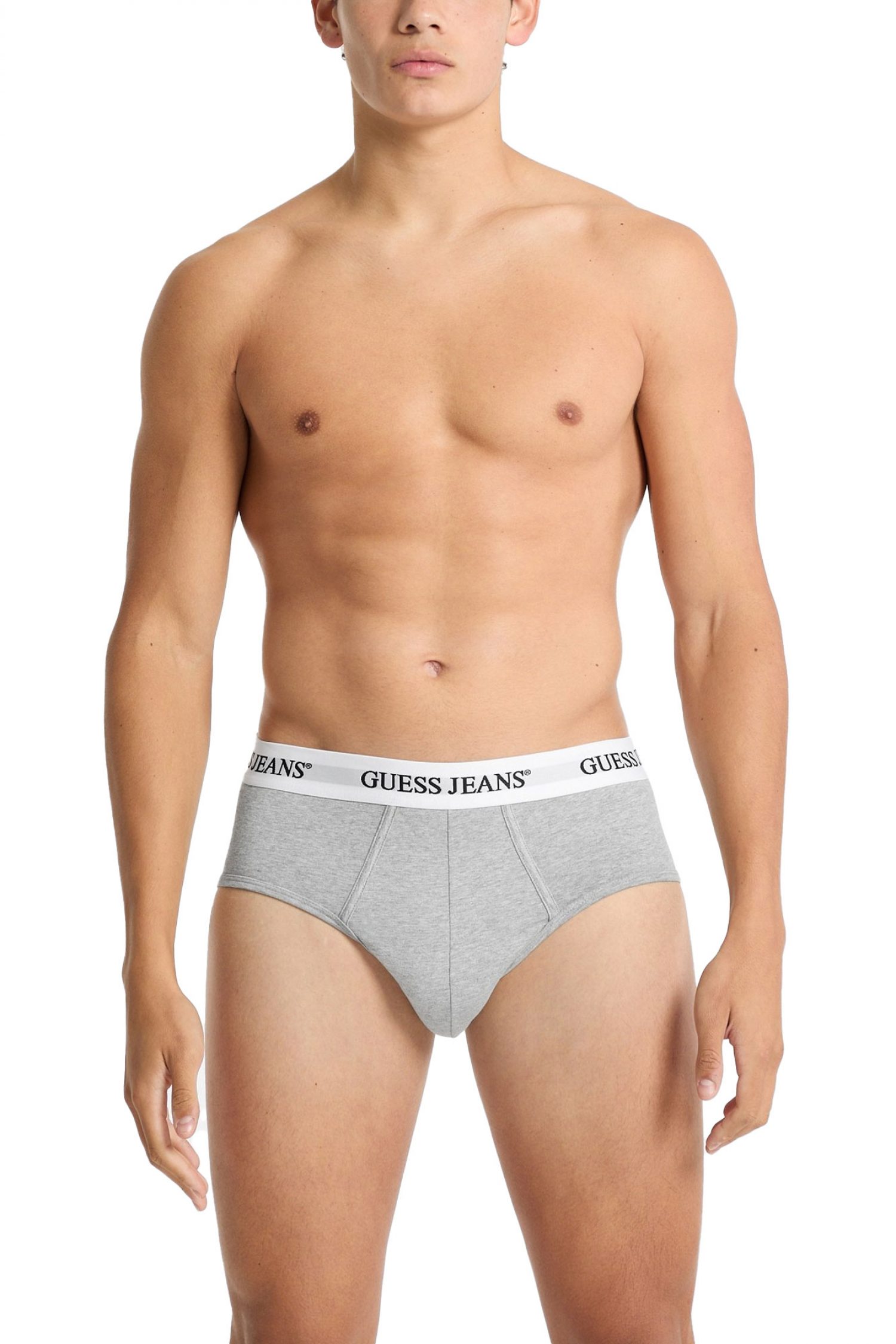 Men's Underwear Guess Jeans Gray