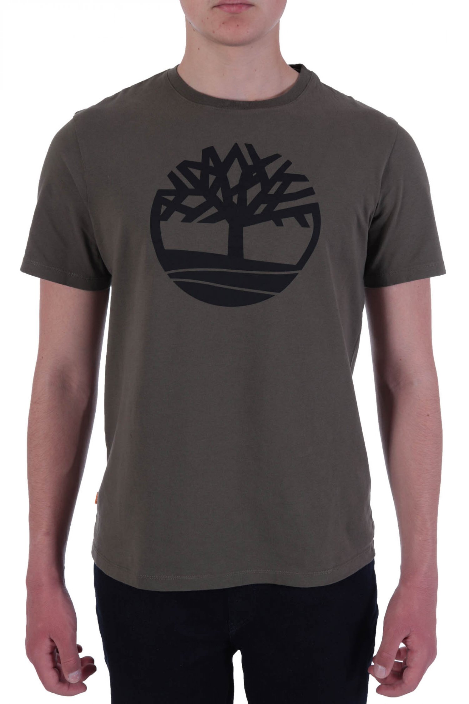 TIMBERLAND T-SHIRT BRAND TREE REGULAR FIT ΧΑΚΙ